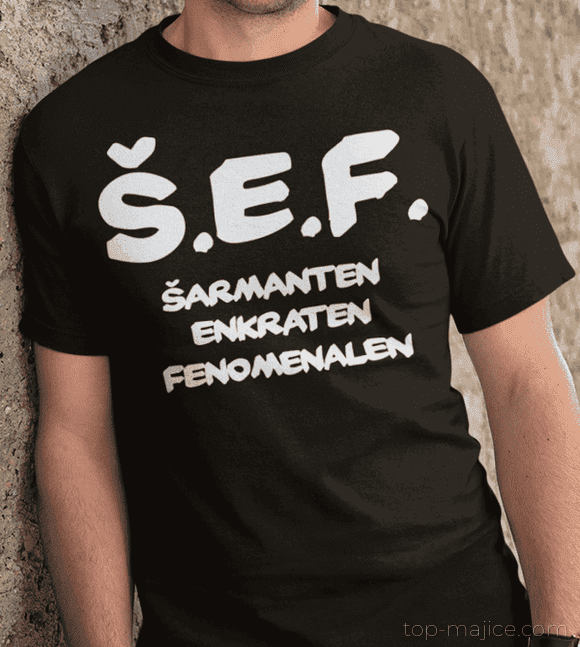 Slika izdelka 1