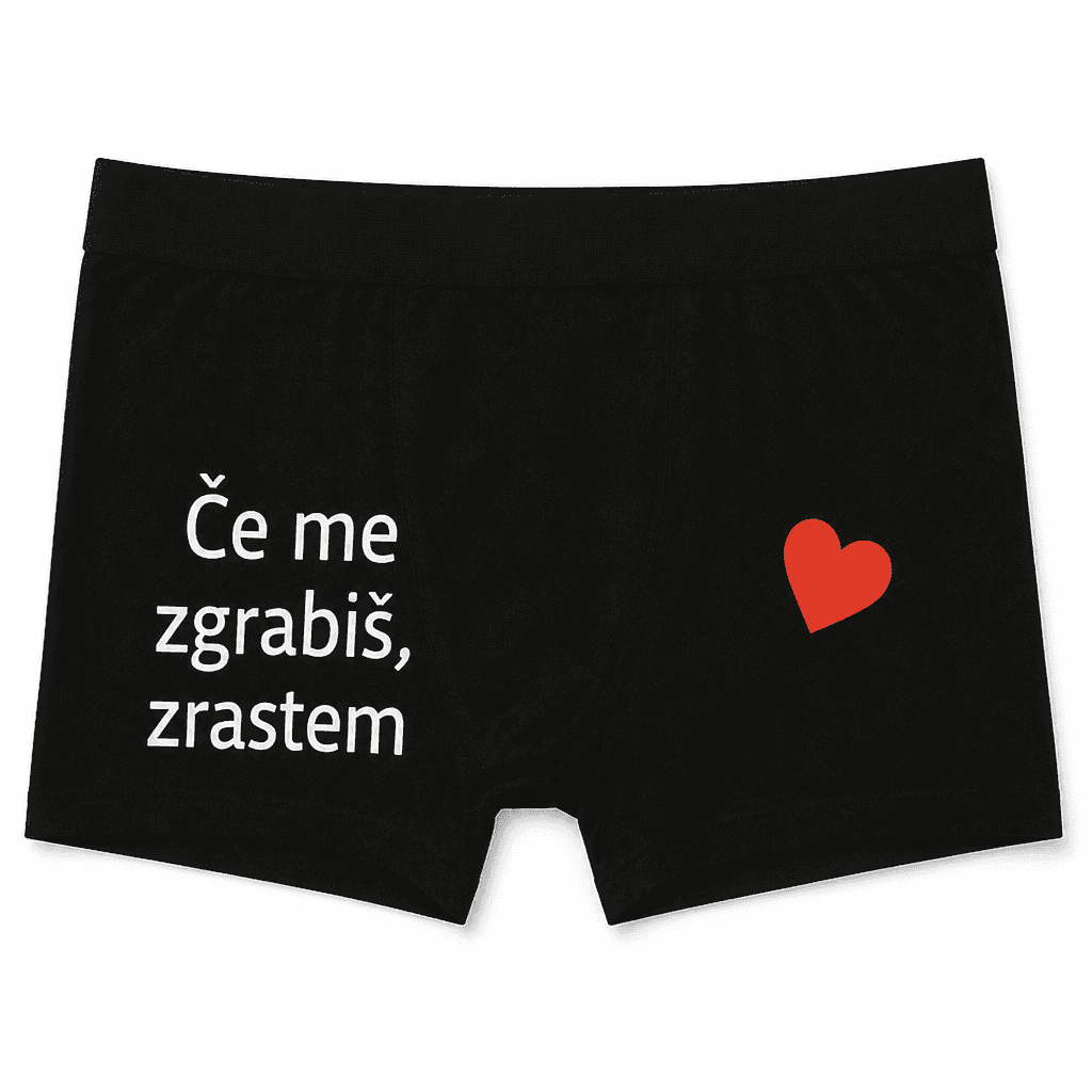 Moške boxer hlače Če me zgrabiš, zraste