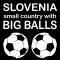 Smešna majica Slovenia small country with big balls