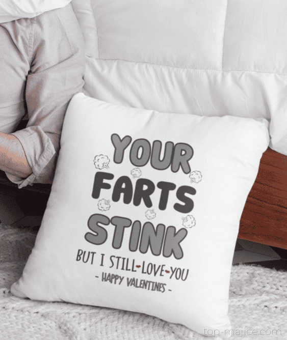 Zabavna blazina farts